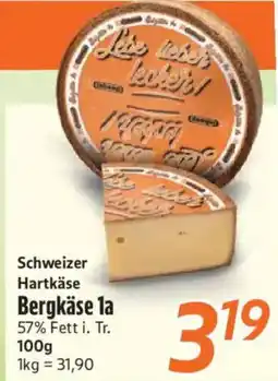 inkoop Schweizer Hartkäse Bergkäse 1a Angebot