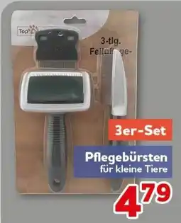 CENTERSHOP Top Pflegebürsten Angebot