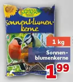 CENTERSHOP Barks Garden Sonnenblumenkerne Angebot