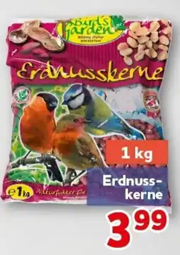 CENTERSHOP Birds Garden Erdnusskerne Angebot