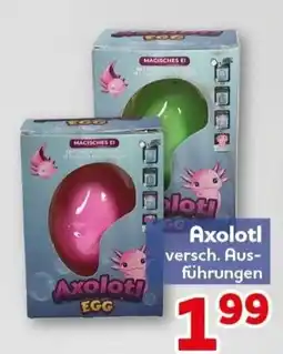CENTERSHOP Axolot! EGG Angebot