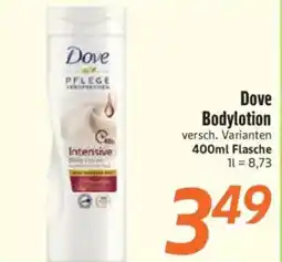 inkoop Dove Bodylotion Angebot