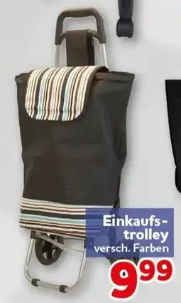 CENTERSHOP Einkaufs-trolley Angebot