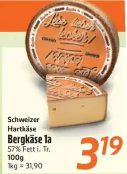 inkoop Schweizer Hartkäse Bergkäse 1a Angebot