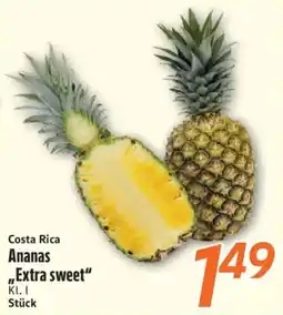 inkoop Costa Rica Ananas "Extra sweet" Angebot