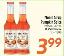 inkoop Monin Sirup Pumpkin Spice Angebot