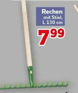 CENTERSHOP Rechen mit Stiel Angebot