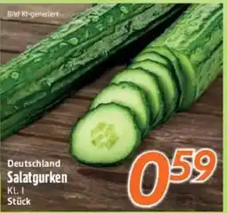 inkoop Deutschland Salatgurken Angebot