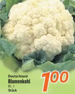 inkoop Blumenkohl Angebot