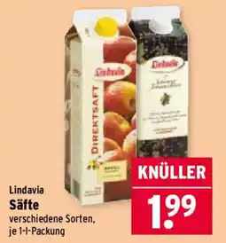 Wasgau Lindavia Säfte Angebot