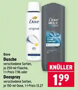 Wasgau Dove Dusche Angebot