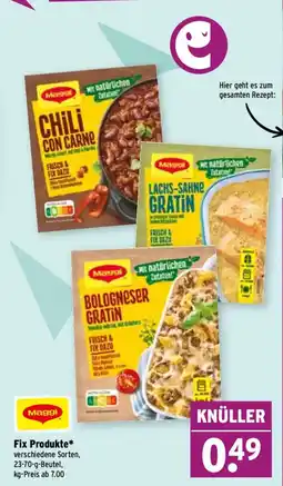 Wasgau Maggi Fix Produkte Angebot