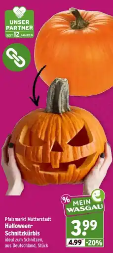 Wasgau Halloween-Schnitzkürbis Angebot