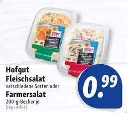Nah & Frisch Hofgut Fleischsalat Angebot