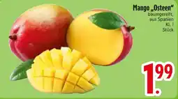 E-Center Mango „Osteen" Angebot
