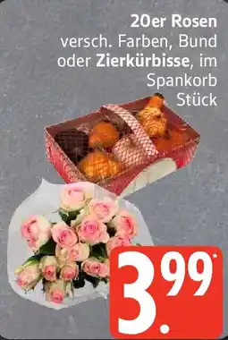 Edeka 20er Rosen oder Zierkürbisse Angebot