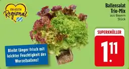 E-Center Ballensalat Trio-Mix Angebot