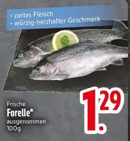 E-Center Frische Forelle Angebot