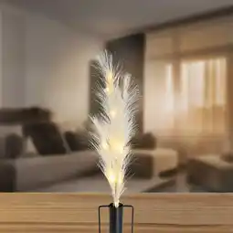 NKD LED-Pampasgras mit Timerfunktion, Höhe ca. 70 cm Angebot