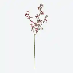 NKD Kunstblume Fetthenne, ca. 62 cm hoch Angebot