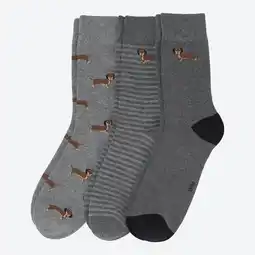 NKD Herren-Socken mit Dackel-Motiven, 3er-Pack Angebot