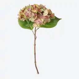 NKD Kunstblume Hortensie, ca. 33 cm Angebot