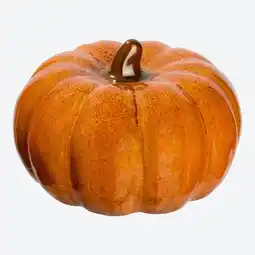 NKD Deko-Kürbis aus Steingut Angebot