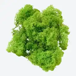 NKD Island-Moos-Dekoration, ca. 50 g Angebot