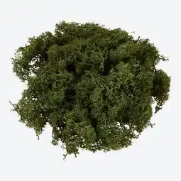 NKD Island-Moos-Dekoration, ca. 50 g Angebot