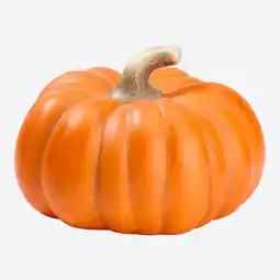 NKD Deko-Kürbis aus Steingut, Ø ca. 16 cm Angebot
