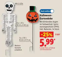 Lidl Halloween-Gartendeko Angebot