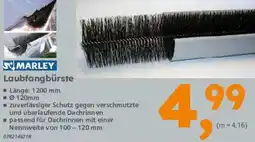 Globus Baumarkt MARLEY Laubfangbürste Angebot