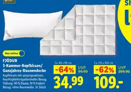 Lidl FJÖDUR 3-Kammer-Kopfkissen/Ganzjahres-Daunendecke Angebot