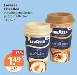 V Markt Lavazza Eiskaffee Angebot