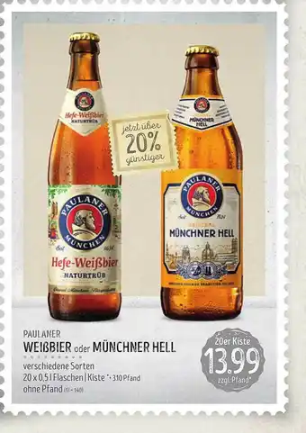 Edeka Struve Paulaner Weißbier Oder Münchner Hell Angebot