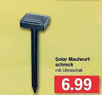 Famila Nord West Solar Maulwurfschreck Angebot