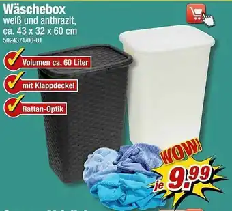 Poco Wäshebox Angebot