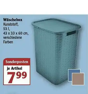 Globus Wäschebox Angebot