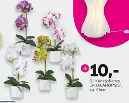 Mömax Kunstpflanze „PHALÄNOPSIS“ Angebot