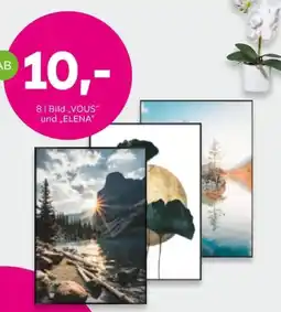 Mömax Bild „VOUS“ und „ELENA“ Angebot
