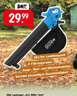 Raiffeisen Markt Güde Laubsauger „GLS 3000.1 Vario“ Angebot