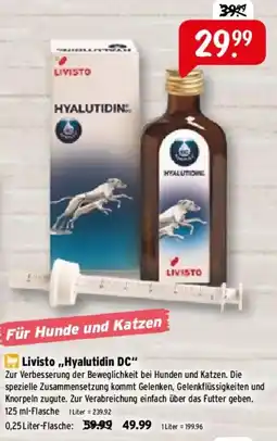 Raiffeisen Markt Livisto „Hyalutidin DC“ Angebot