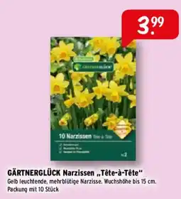 Raiffeisen Markt GÄRTNERGLÜCK Narzissen „Tête-à-Tête“ Angebot