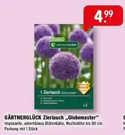 Raiffeisen Markt GÄRTNERGLÜCK Zierlauch „Globemaster“ Angebot
