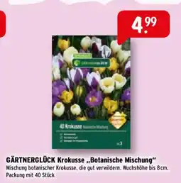 Raiffeisen Markt GÄRTNERGLÜCK Krokusse „Botanische Mischung“ Angebot