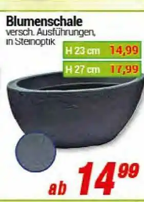 CENTERSHOP Blumenschale Angebot