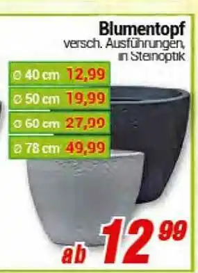 CENTERSHOP Blumentopf Angebot