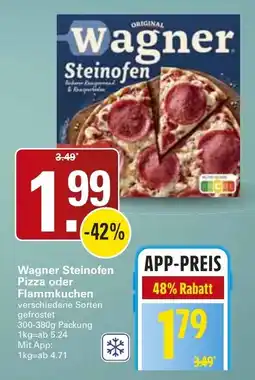 WEZ Wagner Steinofen Pizza oder Flammkuchen Angebot