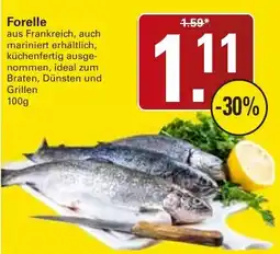 WEZ Forelle Angebot