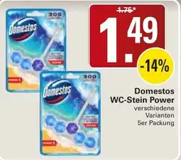 WEZ Domestos WC-Stein Power Angebot